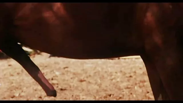 Cô xxx videos han quoc gái mặt